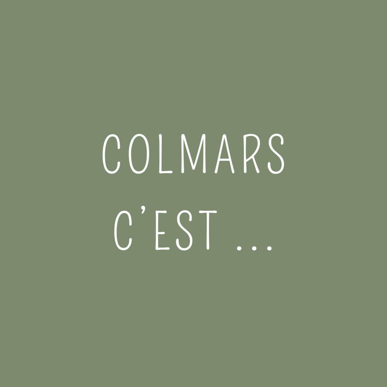 Maison Familiale Des Remparts Colmars Exterior photo